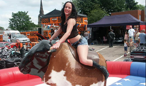 Rodeo Bull