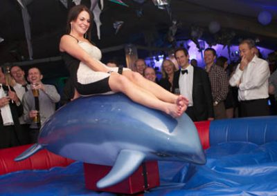 Rodeo Dolphin
